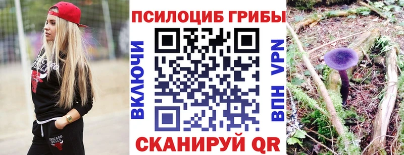 Купить  Осташков  Псилоцибиновые грибы мицелий 